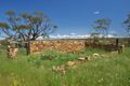 Property photo of 949 Wongamine Road Wongamine WA 6401