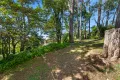 Property photo of 39 Bellbird Crescent Bowen Mountain NSW 2753