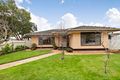 Property photo of 58 Allinga Avenue Glenside SA 5065