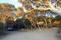 Property photo of 496 Tasman Drive Rye VIC 3941