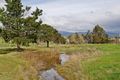 Property photo of 224 Old Beach Road Old Beach TAS 7017