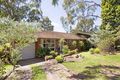 Property photo of 15 Moonbi Crescent Frenchs Forest NSW 2086