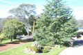 Property photo of 24 Richards Street Cootamundra NSW 2590