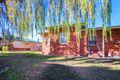 Property photo of 55 Gramp Avenue Angaston SA 5353