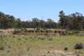 Property photo of 18325 Cunningham Highway Karara QLD 4352