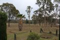 Property photo of 18325 Cunningham Highway Karara QLD 4352