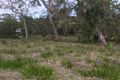 Property photo of 51 Karri Street Walpole WA 6398