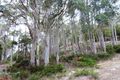 Property photo of 2375 Gordon River Road National Park TAS 7140