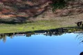 Property photo of 66 Balmoral Drive Bridgetown WA 6255