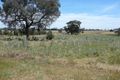 Property photo of 137-139 Farm Street Boorowa NSW 2586