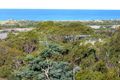 Property photo of 8 Pelican Court Scamander TAS 7215