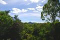 Property photo of 113-115 Fig Tree Drive Caravonica QLD 4878