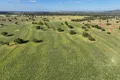 Property photo of 1676 Willala Road Willala NSW 2382
