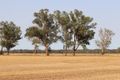 Property photo of 139 Fishers Road Combaning NSW 2666