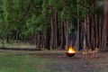 Property photo of 72 Malcolms Road Pampoolah NSW 2430
