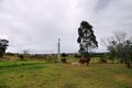 Property photo of 616 Jones Gully Road Mountain Camp QLD 4355