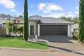 Property photo of 11 Pentonville Street Doolandella QLD 4077