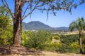 Property photo of 9 Payne Street Eumundi QLD 4562