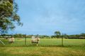 Property photo of 25 Verdelho Way Orchard Hills NSW 2748