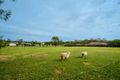 Property photo of 25 Verdelho Way Orchard Hills NSW 2748