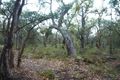 Property photo of 97 Glover Road Yallingup Siding WA 6282