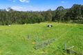 Property photo of 719 Putty Valley Road Putty NSW 2330