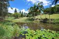 Property photo of 101 Clays Road Mullumbimby NSW 2482