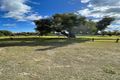Property photo of 1/7 Batt Court Noranda WA 6062