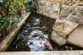 Property photo of 3/10 Bloomfield Street Surry Hills NSW 2010