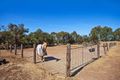 Property photo of 17 Atyeo Road Gawler Belt SA 5118