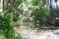 Property photo of 6 Cook Street Gloucester NSW 2422