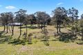 Property photo of 19 Fletcher Street Nulkaba NSW 2325