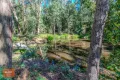 Property photo of 217 Sternbeck Road Bucketty NSW 2250