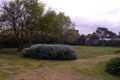 Property photo of 11 Davies Street Bealiba VIC 3475