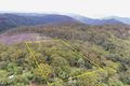 Property photo of 2875 Springbrook Road Springbrook QLD 4213