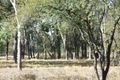 Property photo of LOT 9 Frames Lane Blackall QLD 4472
