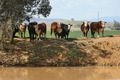 Property photo of 4482 Oxley Highway Somerton NSW 2340