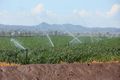 Property photo of 4482 Oxley Highway Somerton NSW 2340