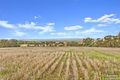 Property photo of 209 Moppa Road Nuriootpa SA 5355