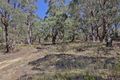 Property photo of 42 Fielding Drive West Hobart TAS 7000