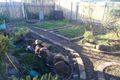 Property photo of 31 Arthur Street Rutherford NSW 2320