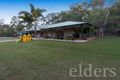 Property photo of 19 Albert Evans Drive Worongary QLD 4213