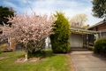 Property photo of 19 Yaringa Court Rye VIC 3941