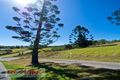 Property photo of 4 Gilmour Court Clear Mountain QLD 4500