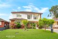 Property photo of 142 Gardenia Parade Greystanes NSW 2145