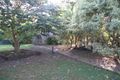 Property photo of 43 Newton Drive Beerwah QLD 4519