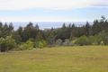 Property photo of 1 Mt Elephant Road Gray TAS 7215