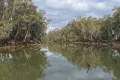 Property photo of 39 Teddys Lane Barham NSW 2732