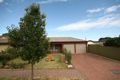Property photo of 1 Peppertree Grove Oaklands Park SA 5046