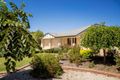 Property photo of 166 White Hut Road Clare SA 5453